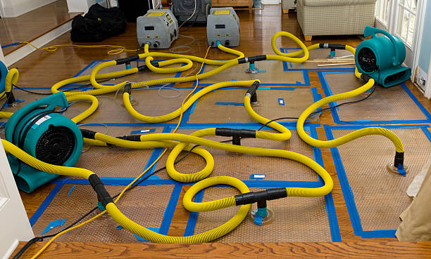 Professional Basement Flood Cleanup technician working in Jefferson, SC